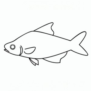 Cómo dibujar animales marinos ✍