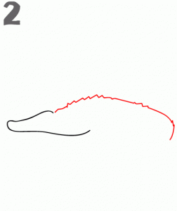 como-dibujar-a-un-cocodrilo