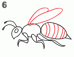 como-dibujar-alas-de-abeja