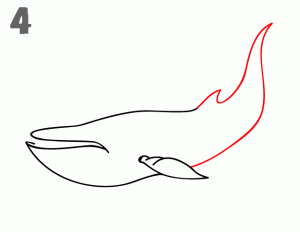 Cómo dibujar Ballenas ✍ 