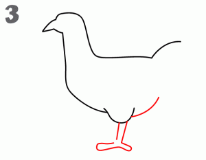 como-dibujar-gallinas