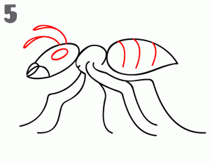 como-dibujar-hormiga-facil-para-niños