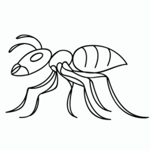 como-dibujar-hormigas