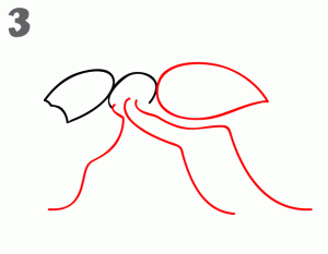 como-dibujar-hormigas-para-niños