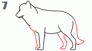 Cómo dibujar un Lobo ✍ 