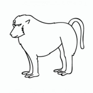 como dibujar monos