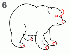 como-dibujar-osos