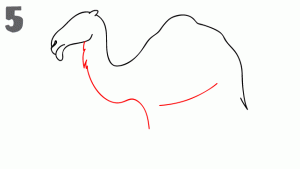 como-dibujar-un-camello-facil-para-niños