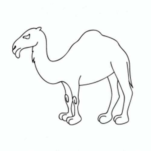 Cómo dibujar un Camello ✍ 