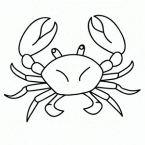 como-dibujar-un-cangrejo