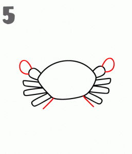 como-dibujar-un-cangrejo-facil-para-ninas
