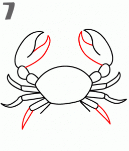 como-dibujar-un-cangrejo-para-ninas