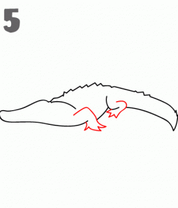 como-dibujar-un-cocodrilo-a-lapiz