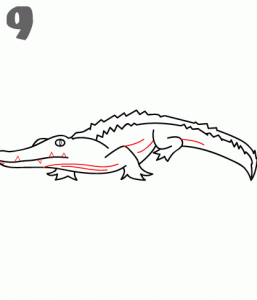 como-dibujar-un-cocodrilo-niños