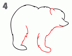 Cómo dibujar un Oso ✍ 