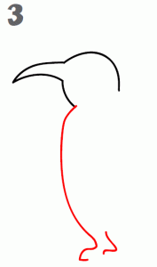 como-dibujar-un-pinguio
