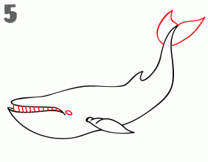como-dibujar-una-ballena-a-lapiz