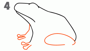 Cómo dibujar una Rana ✍ 