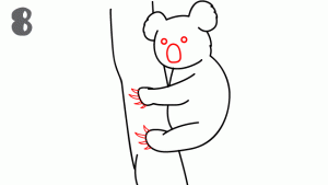 dibujar-a-un-koala
