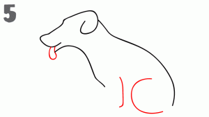 dibujar-un-perro-facil
