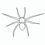 Cómo dibujar una Araña | COMODIBUJAR.CLUB