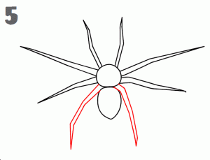 Cómo dibujar una Araña ✍ 