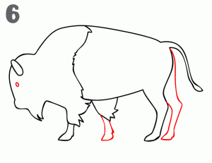 dibujar búfalo para niños